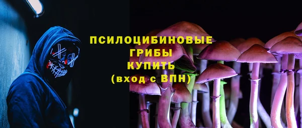 героин Алексин