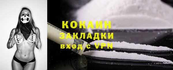 прущие грибы Ветлуга