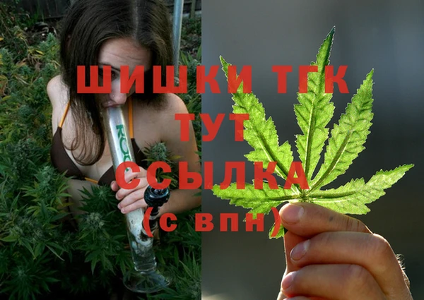 дмт Алзамай
