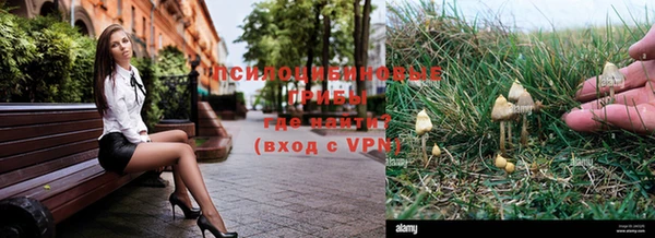 меф Алексеевка