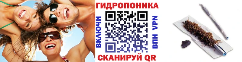 omg ONION  где найти наркотики  Балашов  Конопля SATIVA & INDICA 